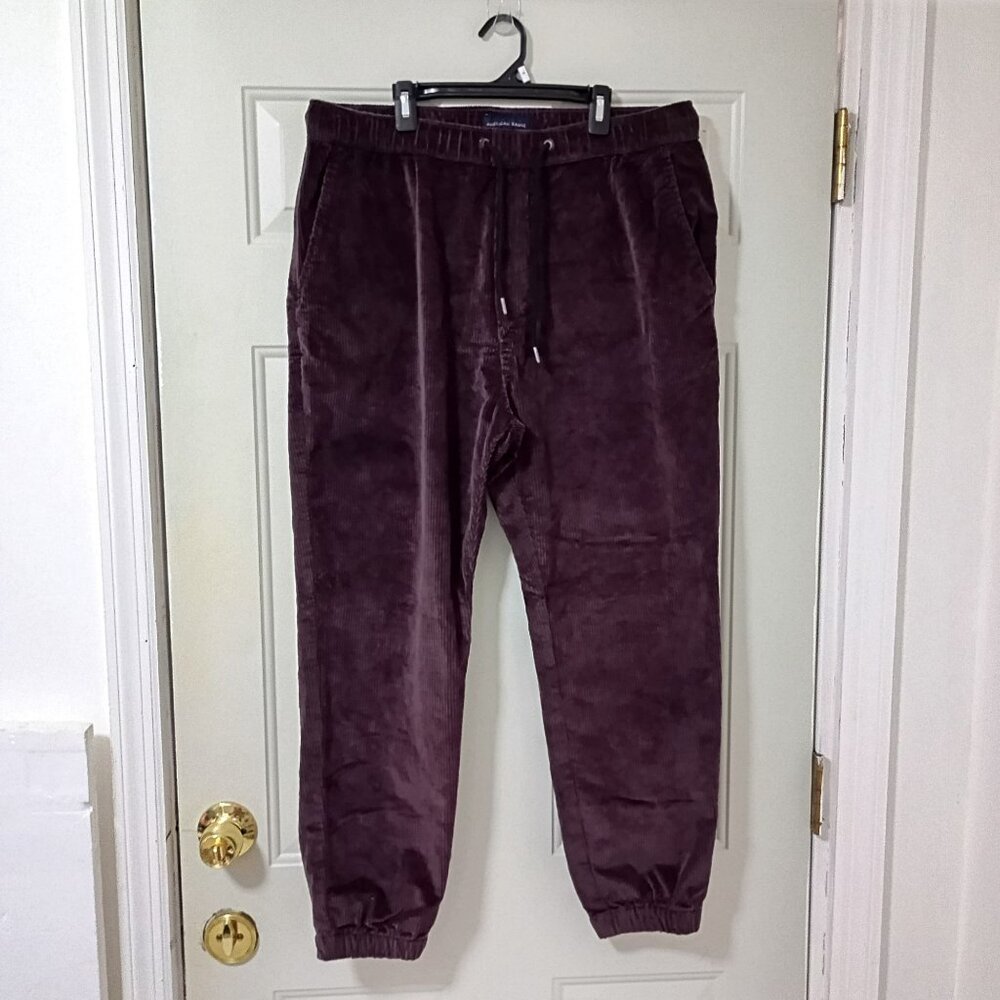 American Eagle Outfitters Men's Velour Joggers in Deep Plum